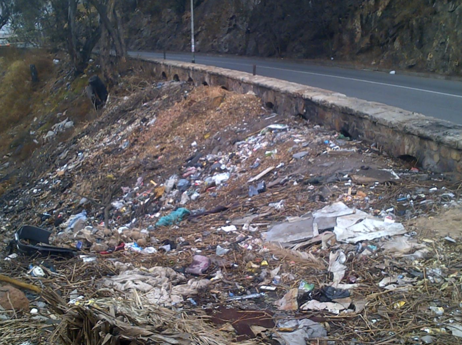 Stewart Drive before 2018 cleanup Richard Holden 5.png The